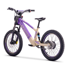 Draisienne électrique Sedna SX 20 Violet (4)