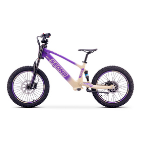 Draisienne électrique Sedna SX 20 Violet (5)
