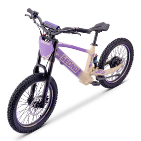 Draisienne électrique Sedna SX 20 Violet (6)
