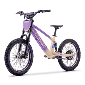Draisienne électrique Sedna SX 20 Violet (7)