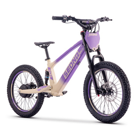 Draisienne électrique Sedna SX 20 Violet (8)