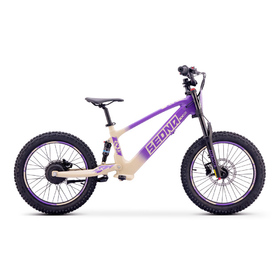 Draisienne électrique Sedna SX 20 Violet