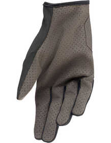 Gants VTT Alpinestars Drop 6.0 Noir Paume