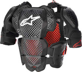 Pare Pierre Alpinestars A-10 V2 2024 Dos