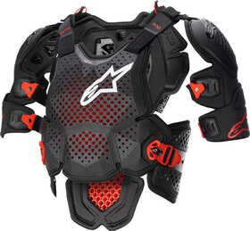 Pare Pierre Alpinestars A-10 V2 2024