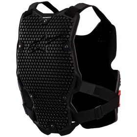 Pare Pierre Alpinestars Bionic Action V2 Noir 2027 Dos