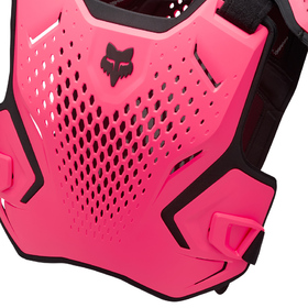 Pare Pierre Fox R3 Rose 2027 (2)