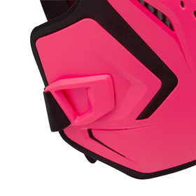 Pare Pierre Fox R3 Rose 2027 (3)