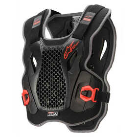 Pare Pierre Alpinestars Bionic Action 2024