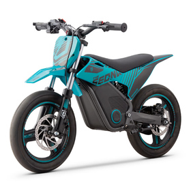 Pocket supermotard électrique Sedna TXR 500W (6)