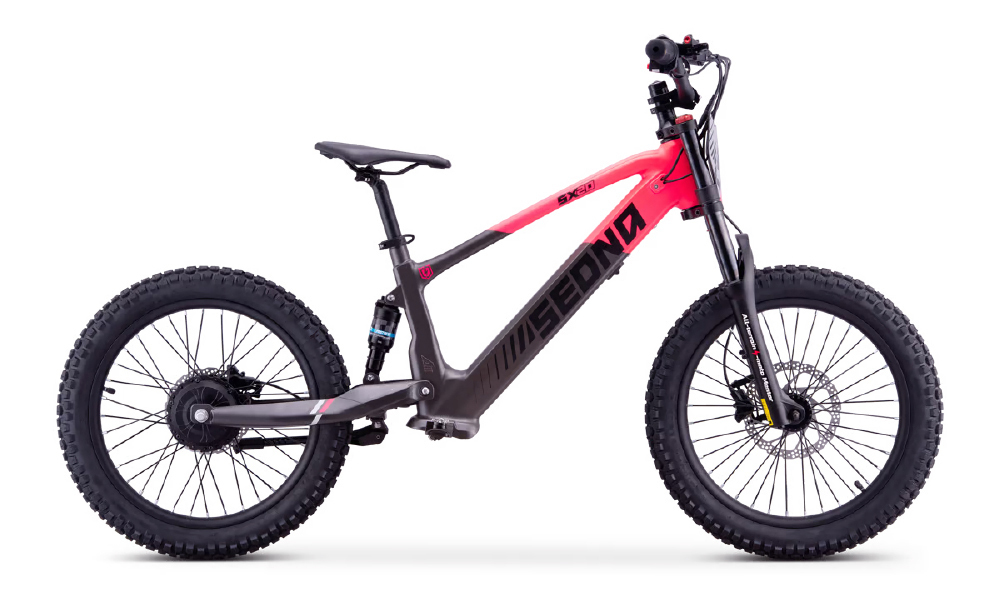 Visuel SX 20